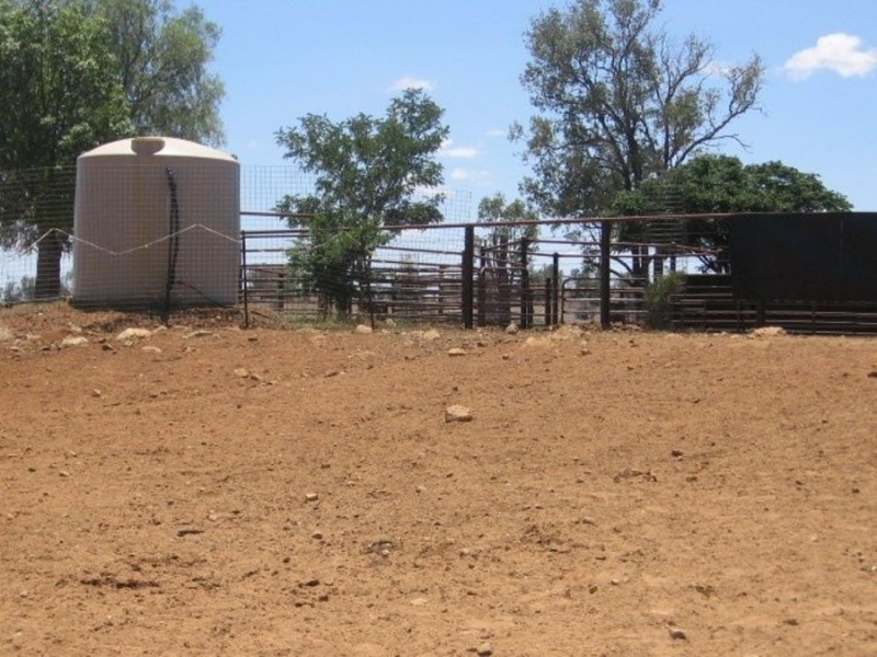 Brooklyn, Gravesend NSW 2401