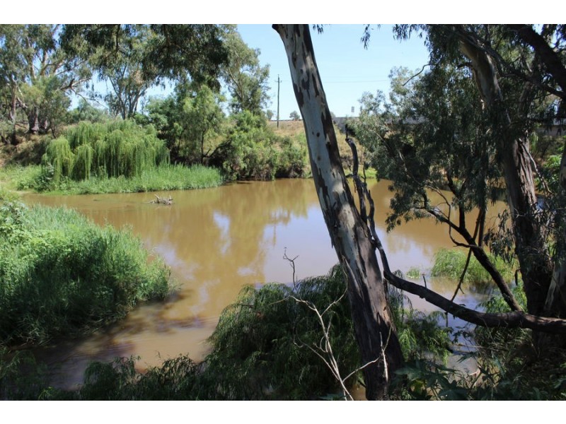 297 Carnarvon Highway, Moree NSW 2400