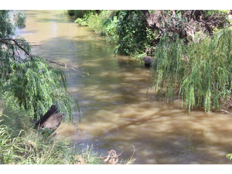 297 Carnarvon Highway, Moree NSW 2400