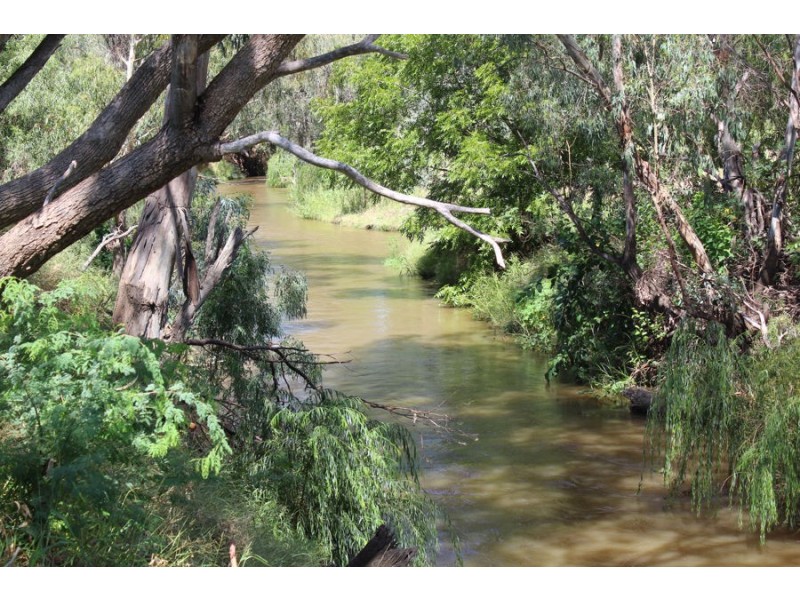 297 Carnarvon Highway, Moree NSW 2400