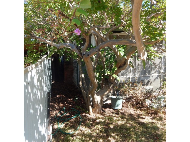 51 Auburn Street, Moree NSW 2400