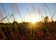 Belbowrie, Moree NSW 2400