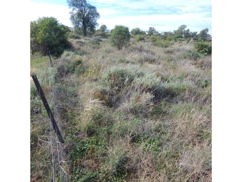 18 Boolooroo Street, Ashley NSW 2400