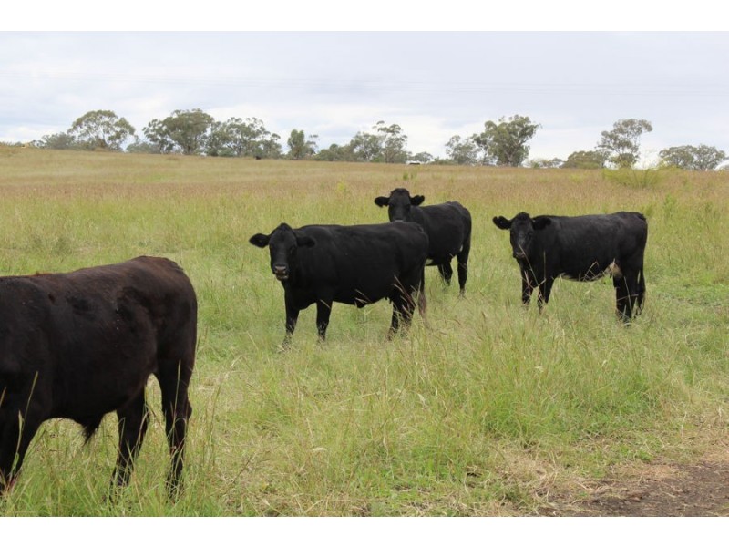 “Fairford”,, Warialda NSW 2402