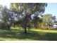 19 Mungindi Road, Moree NSW 2400
