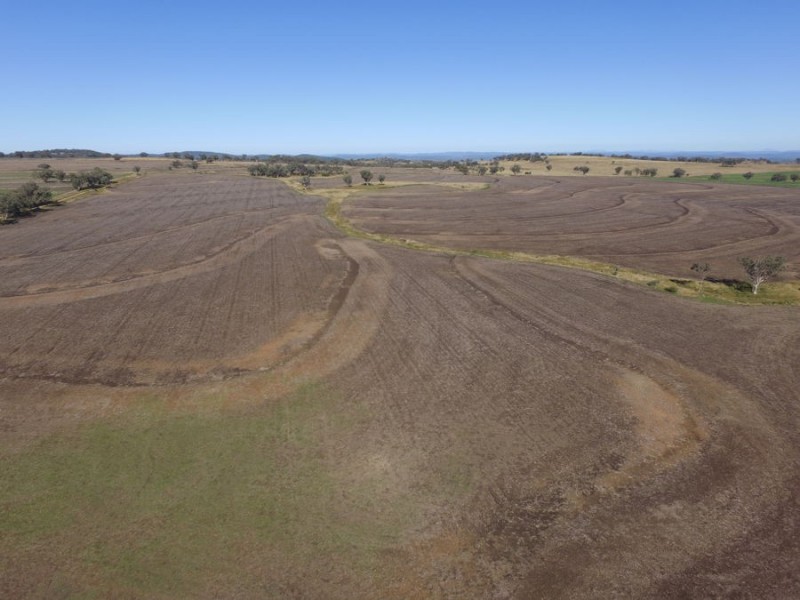 Part Paxton and Top Block, Delungra NSW 2403