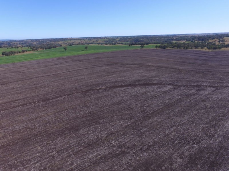 Part Paxton and Top Block, Delungra NSW 2403