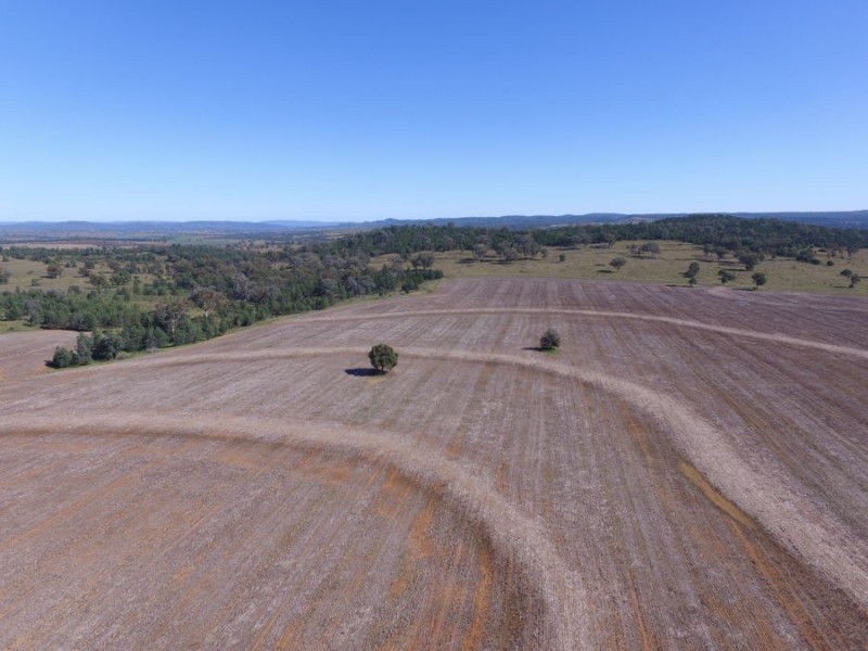 Part Paxton and Top Block, Delungra NSW 2403
