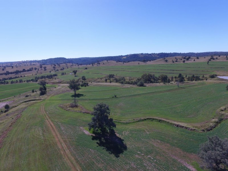 “Part Paxton”, Delungra NSW 2403