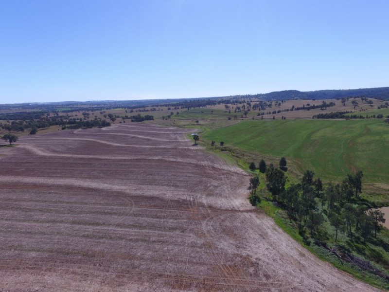 “Part Paxton”, Delungra NSW 2403