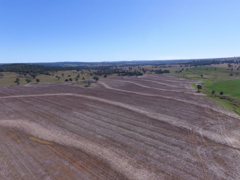 “Part Paxton”, Delungra NSW 2403