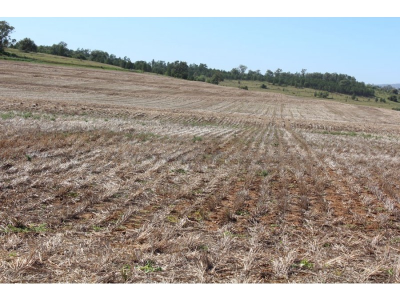 “Part Paxton”, Delungra NSW 2403