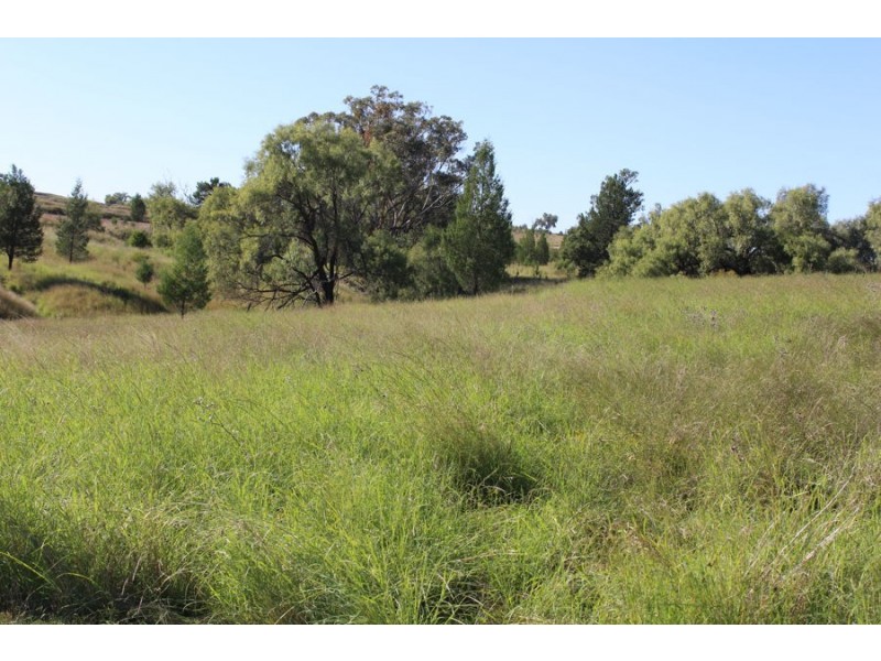 “Part Paxton”, Delungra NSW 2403