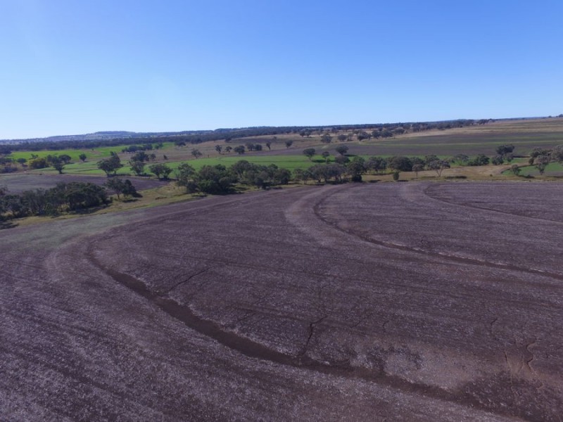 “Top Block”, Delungra NSW 2403