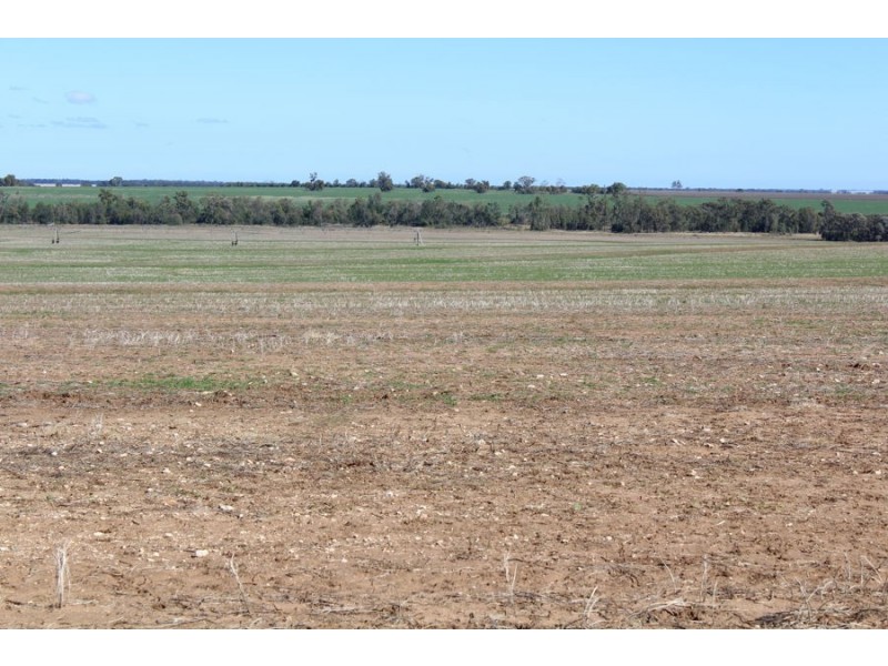 “Strathdarr”, Crooble NSW 2400