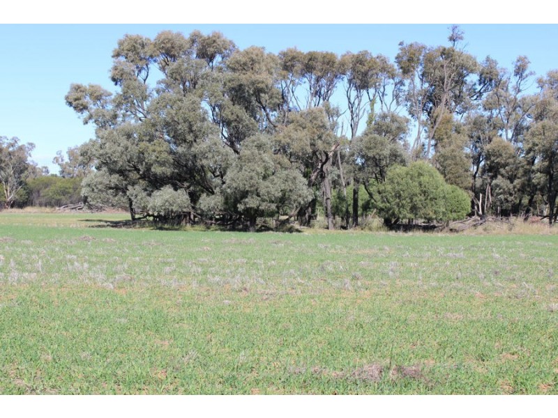 “Strathdarr”, Crooble NSW 2400