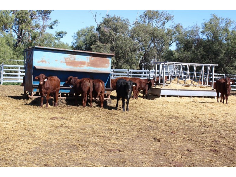 “Strathdarr”, Crooble NSW 2400