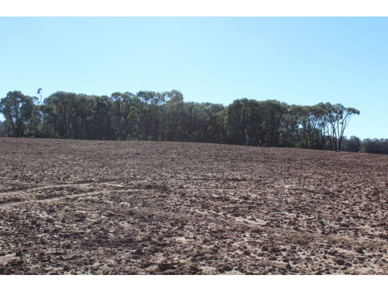 “Strathdarr”, Crooble NSW 2400