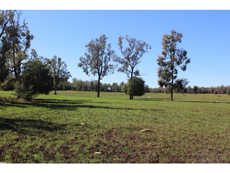 “Strathdarr”, Crooble NSW 2400