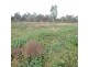 26 Carbeen Street, Moree NSW 2400