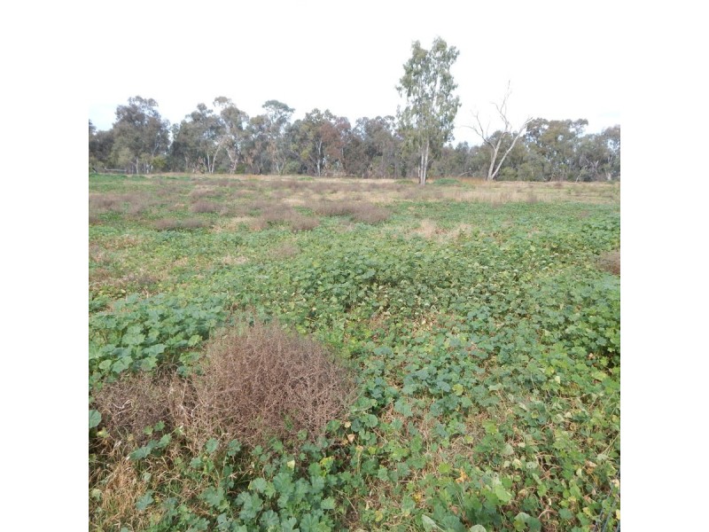 26 Carbeen Street, Moree NSW 2400