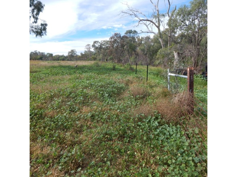 26 Carbeen Street, Moree NSW 2400