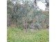 26 Carbeen Street, Moree NSW 2400