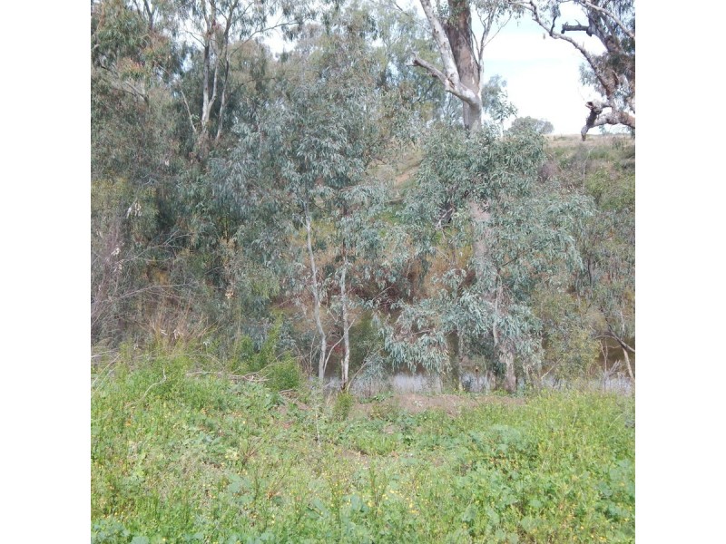 26 Carbeen Street, Moree NSW 2400