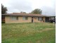 1 Wattle Crescent, Moree NSW 2400