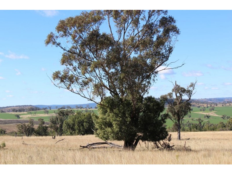 No Name, Warialda NSW 2402