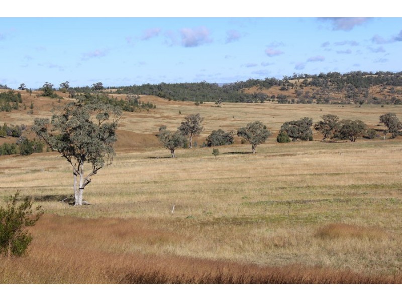 No Name, Warialda NSW 2402