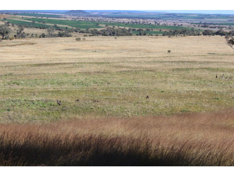 No Name, Warialda NSW 2402