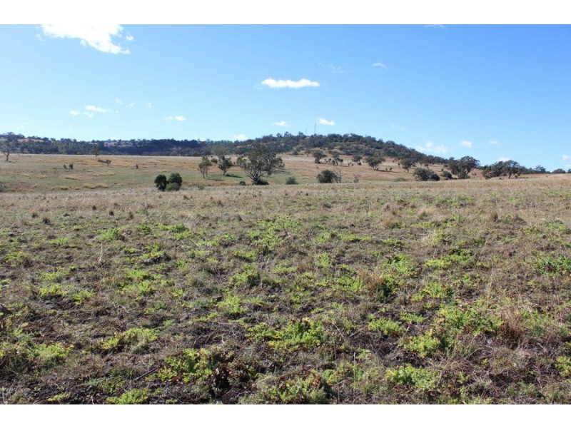 No Name, Warialda NSW 2402