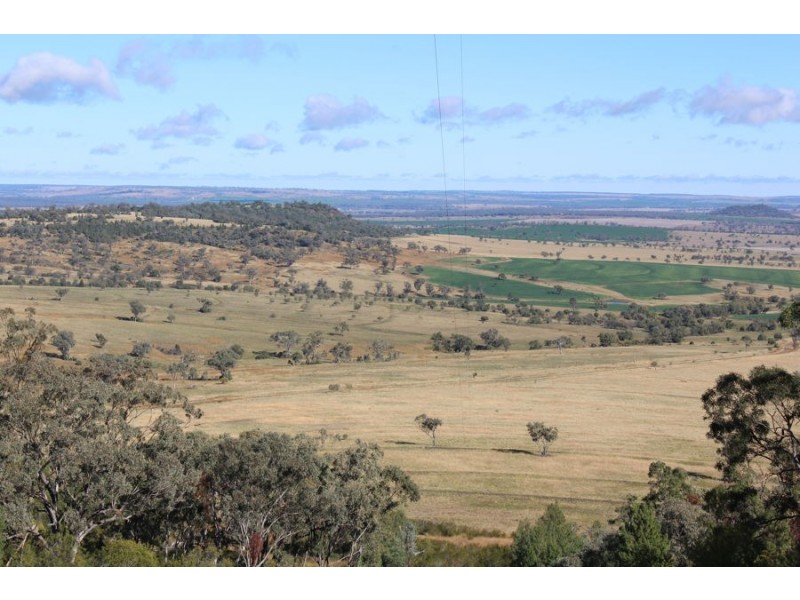 No Name, Warialda NSW 2402