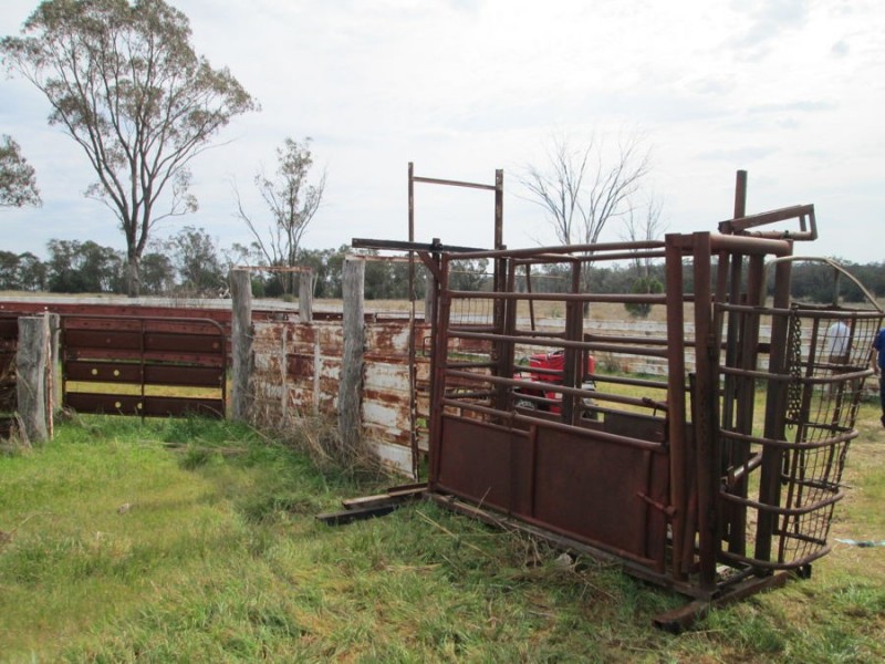 “Combo”, North Star NSW 2408