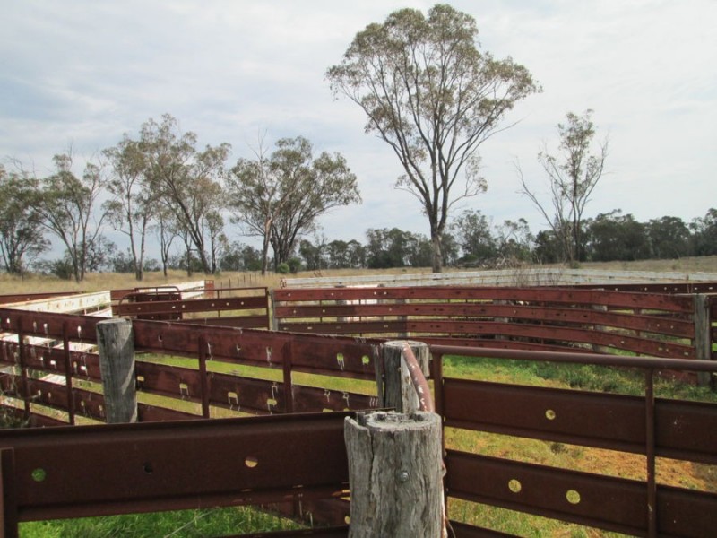 “Combo”, North Star NSW 2408