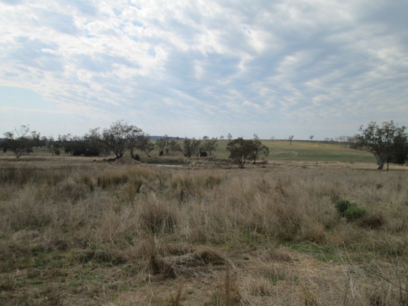 “Combo”, North Star NSW 2408