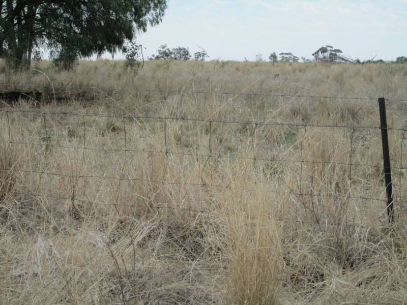 “Combo”, North Star NSW 2408