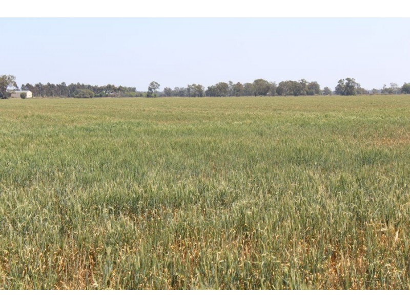 “Gwydirfield North”,, Moree NSW 2400