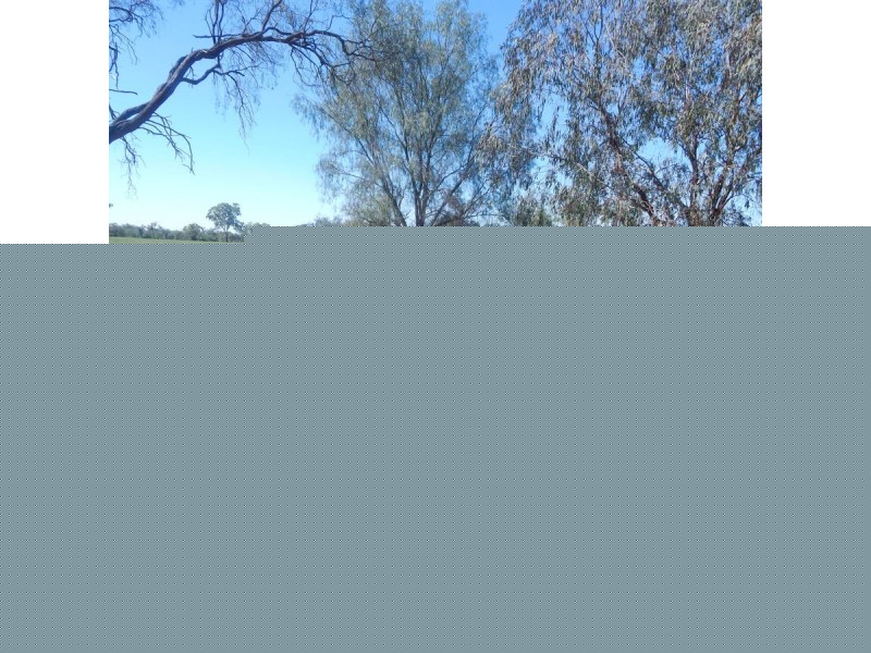 9 Sunnyside Road, Moree NSW 2400