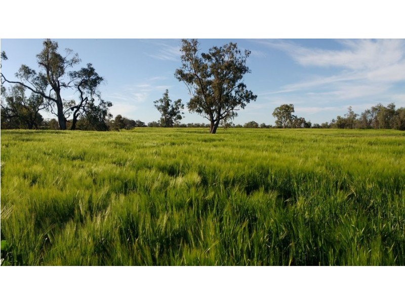 9 Sunnyside Road, Moree NSW 2400