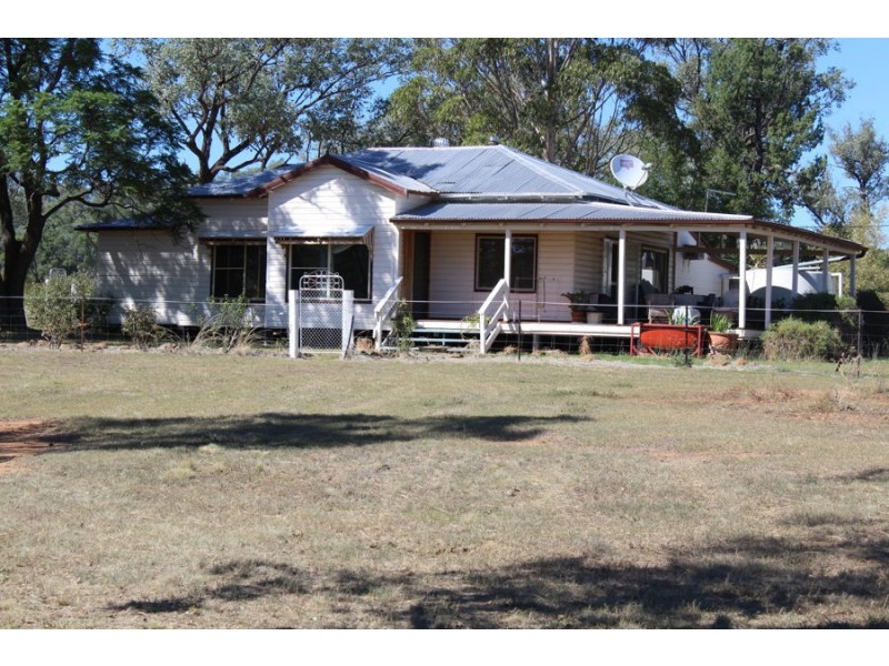 Wadgie Farm, Warialda NSW 2402