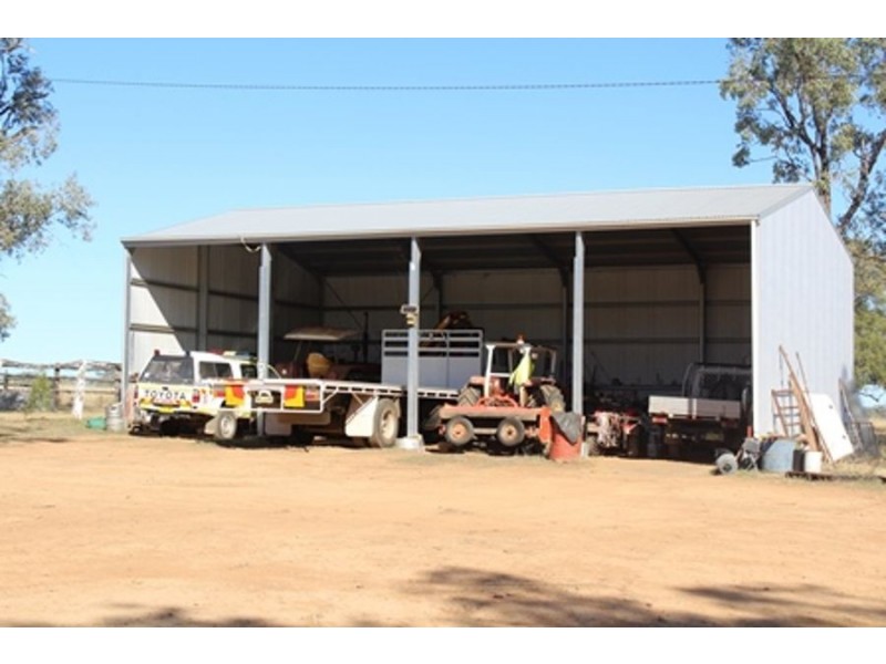Wadgie Farm, Warialda NSW 2402