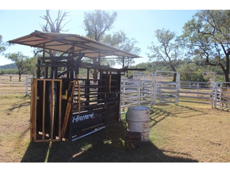 Wadgie Farm, Warialda NSW 2402