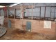 Wadgie Farm, Warialda NSW 2402