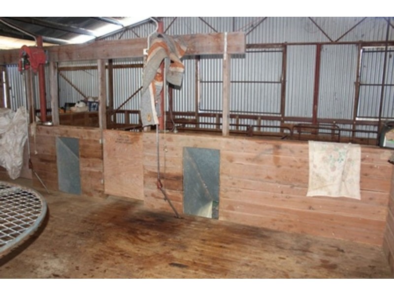 Wadgie Farm, Warialda NSW 2402