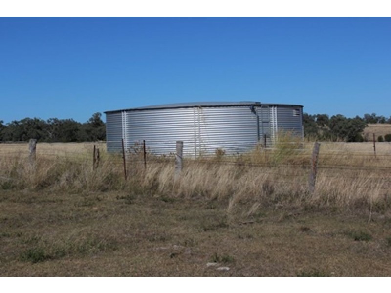 Wadgie Farm, Warialda NSW 2402
