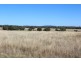 Wadgie Farm, Warialda NSW 2402