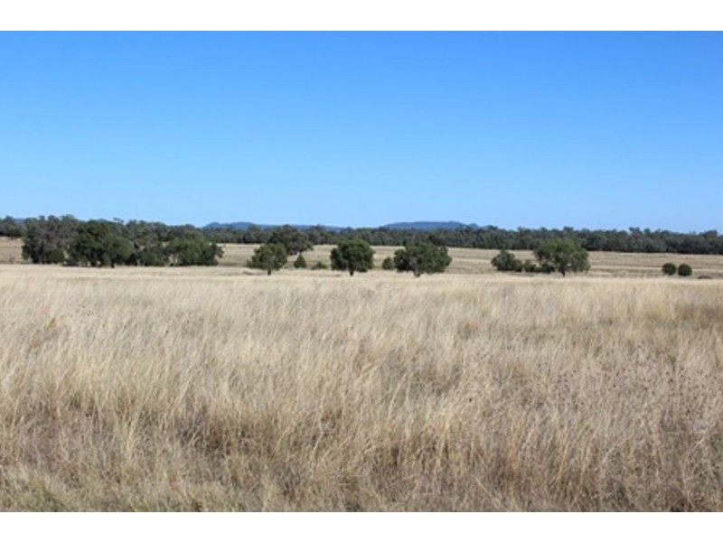 Wadgie Farm, Warialda NSW 2402