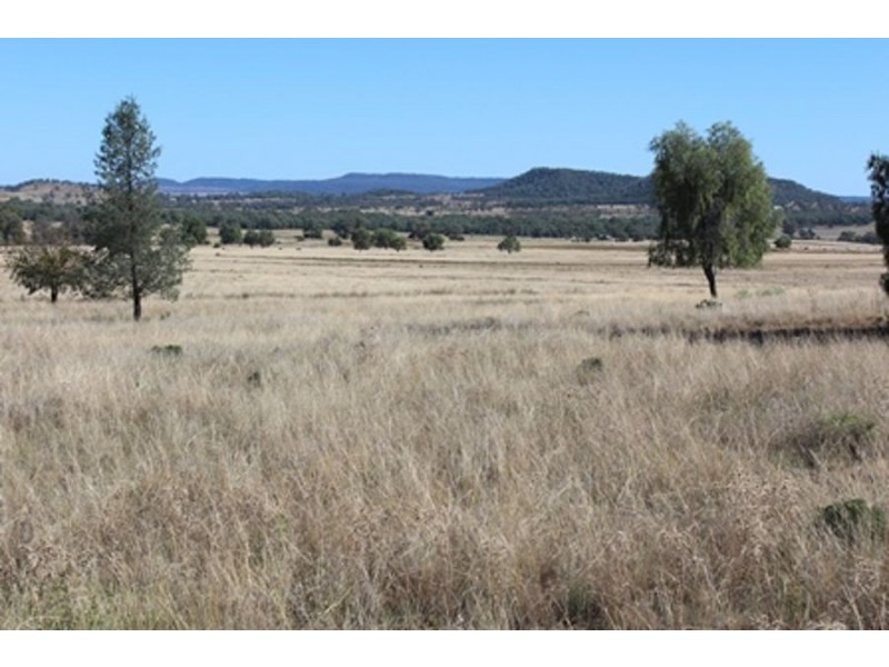 Wadgie Farm, Warialda NSW 2402